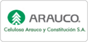 Arauco